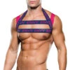 Men's Envy Pink And Blue Logo Harness -Lingerie Shop BA BLE313 F 2022SEPT52375