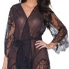 Coquette Draping Mesh And Lace Robe 1 Coquette Draping Mesh And Lace Robe -Lingerie Shop CO 22309 fv 2022NOVEMBER52177