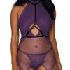 Dreamgirl Pleasure Princess Chemise Set 1 Dreamgirl Pleasure Princess Chemise Set -Lingerie Shop DG 12923 Aubergine Front Inset 2023MAY