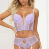 Longline Flirt Gartered Bra Set -Lingerie Shop ST 11389 LAVENDER F 2022MAY48381