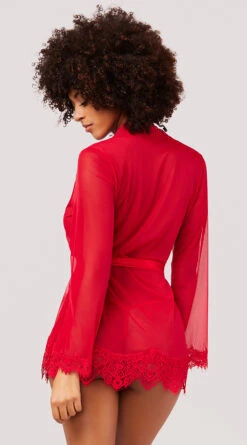 Yandy Eyelash Lace Robe Set 6 Yandy Eyelash Lace Robe Set -Lingerie Shop YO 94 11136 LACE MESH ROBE BOW RED 2440
